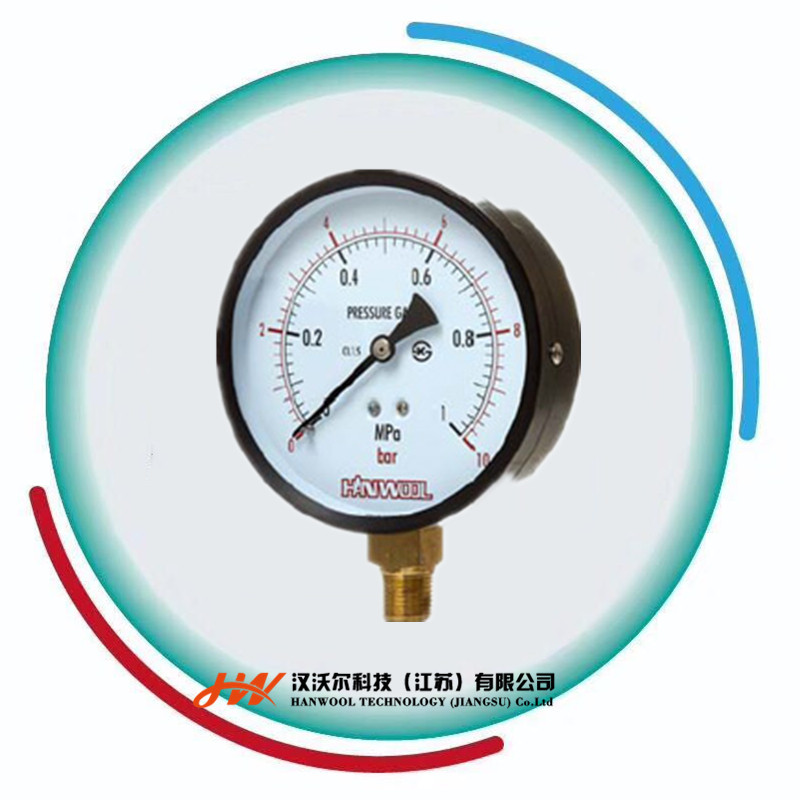 HW-PG100韩国hanwool通用压力表